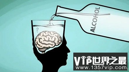 适量饮酒也可能会损害大脑健康是真的吗？