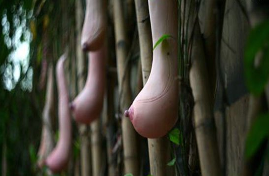 盘点三个长相“下流”的生物