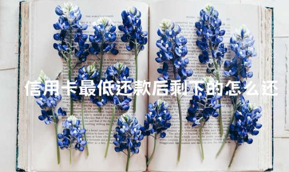 信用卡最低还款后剩下的怎么还