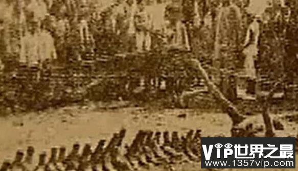 1934年辽宁营口坠龙事件是真的吗？