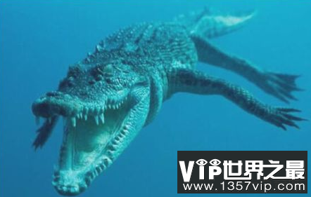世界上最大的鳄鱼重6.4米,多次袭击人类