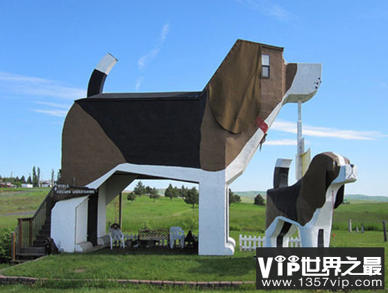 世界上最奇怪的酒店形象是建在树上的