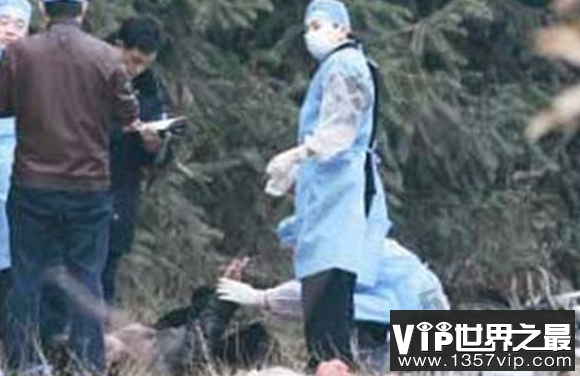 凶杀案未解之谜 杀人手段极其残忍