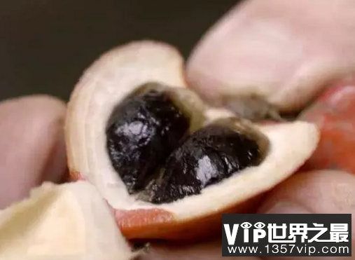 世界上哪种水果最甜 是天然的甜度添加剂