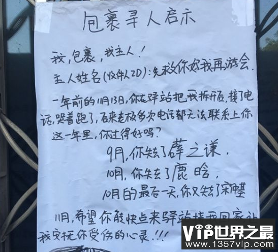 世界上最孤独的包装老板遇到了一个孤独的小包裹