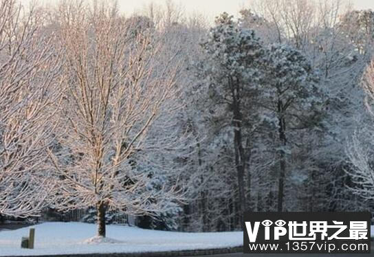 雪形成的原因是什么?下雪要具备什么条件