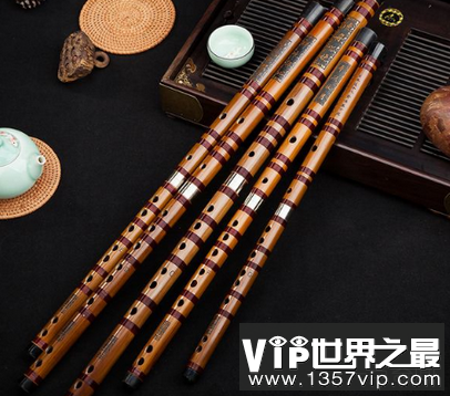 世界上最难学的乐器