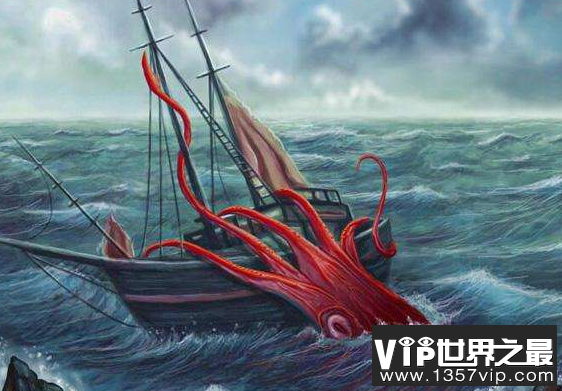 世界上最大的乌贼：大王乌贼