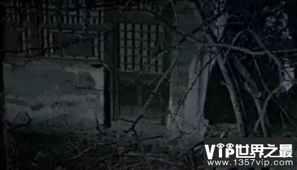 2010年秦岭事件，真相竟是夜狸猫事件重编