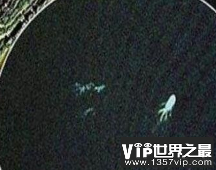 加拿大湖怪是什么，长达18米的恐怖神秘巨怪