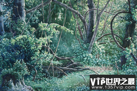 山海经中十大神树，第五种树可让人长生不老