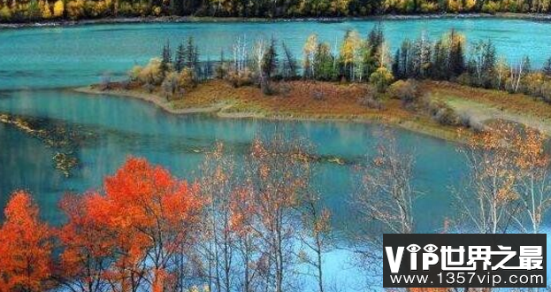 喀纳斯湖水怪抓住了,其实是巨型哲罗蛙新疆