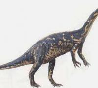皮萨诺龙（Pisanosaurus）：体长1米的小型食草恐龙