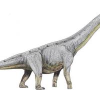 柏利连尼龙（Pellegrinisaurus）：体长25米的阿根廷巨型恐龙