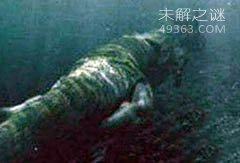 世界上十大水怪事件未解谜团