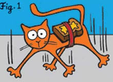 黄油猫悖论让反地心引力成立了,这实验好玩了？