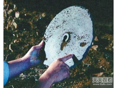 石碟泄密：万年前外星飞船竟坠毁中国