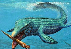 时间是把屠＂龙＂刀:海中霸王上龙暮年生活