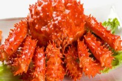 世界上体型最大的螃蟹之一：刺蟹最重达五公斤