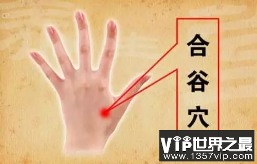 合谷的准确位置图片，合谷穴的功效与作用