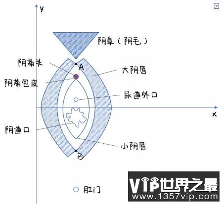 男的怎么鉴定是不是处，科学的方式竟然是这样！