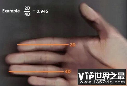 听说看手指，就能知道丁丁长短...