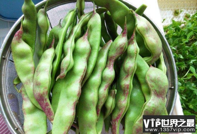 油豆角热量高不能吃？