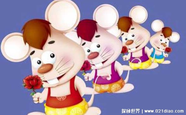 1996年属鼠的人结婚忌哪4个属相（羊，马，龙，鸡）