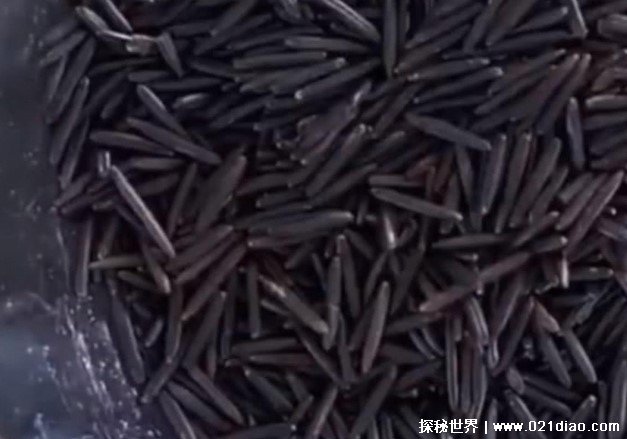 世界上最贵的大米 胭脂米曾8000元1公斤买不到(产自中国)
