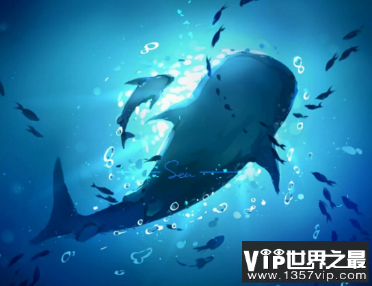 海洋生物之最 世界最大的海洋生物是什么