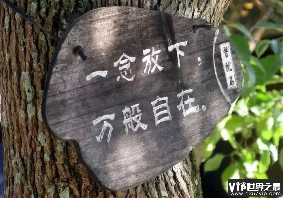 【抖音文案】关于放下执念的唯美句子