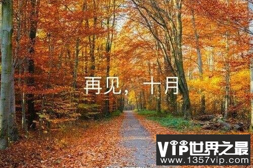 2022十月再见十一月你好说说 十一月你好的心情说说