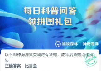 以下哪种海洋鱼类幼时有鱼鳔成年后鱼瞟退化消失 神奇海洋12月12日答案