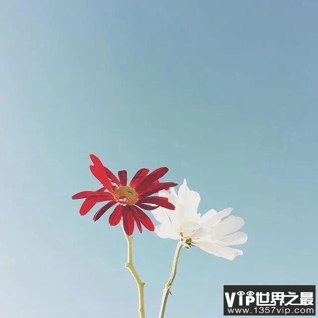 朋友圈早晨的唯美句子