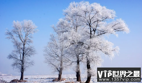 形容雪景的唯美短句子